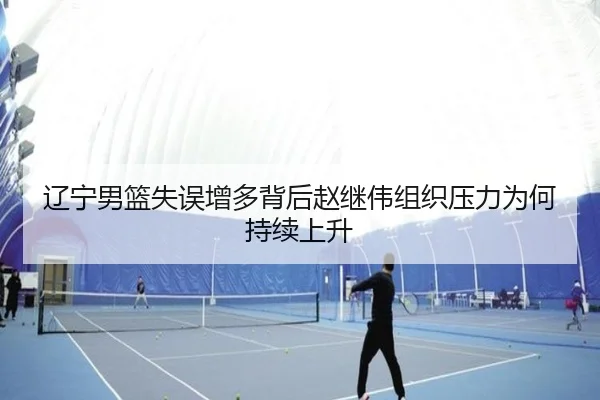 辽宁男篮失误增多背后赵继伟组织压力为何持续上升